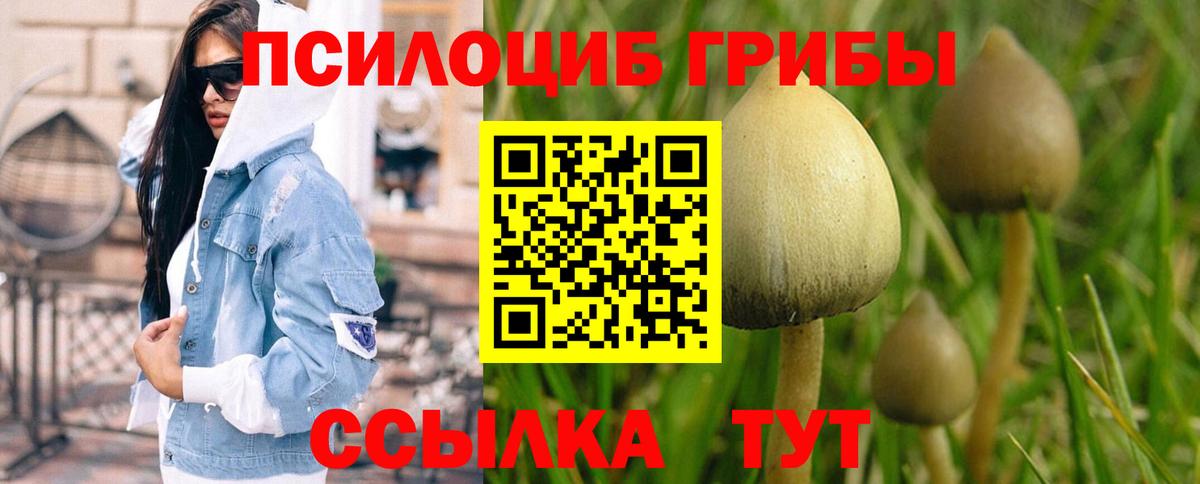 Назарово  Псилоцибиновые грибы ЛСД  Псилоцибиновые грибы мухоморы  даркнет сайт  Вход с VPN 